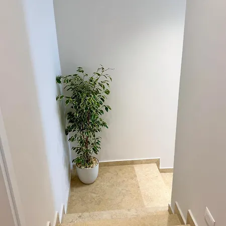 Pearl Pool Luxury * 골렘