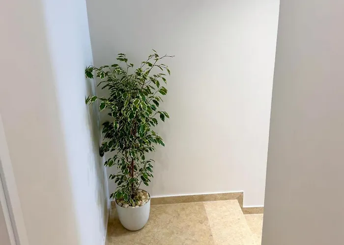 Pearl Pool Luxury * Golem (Tirana)